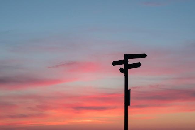 How to Choose HR Software: Complete Buyer's Guide for Growing Companies